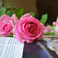 Розы :: Larisa Simonenkova