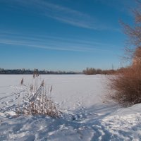 Зимний пейзаж :: Павел Шалаев