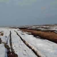 На Рязанщине нет дорог, есть направление :: Валентина Пирогова