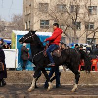 На коне :: Екатерина Медведева