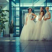 Проект "Невеста" :: Алексей Жариков