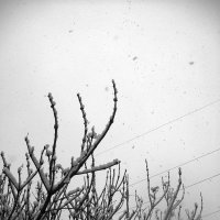 Зима :: Инна Буян