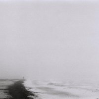 Туман перед весной :: Филипп Рабачев