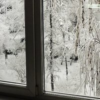 Зима за окном. :: юрий Амосов