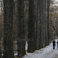 Дендрологический парк :: (A-Eagle) Андрей Орлов