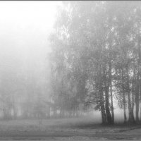 Майский туман :: Olenka 