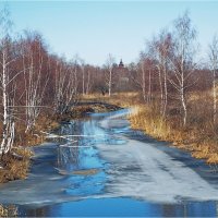 Весна, однако. :: Вадим Писарчик