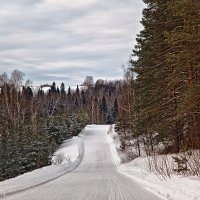 Зимняя дорога :: Татьяна Губина