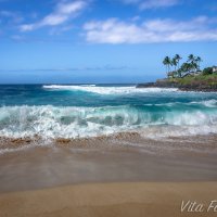 North Shore Oahu :: Vita Farrar