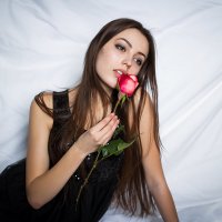 Розы :: Ekaterina Maximenko