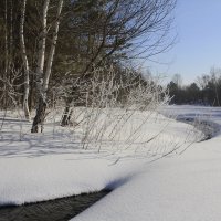 Начало весны :: Андрей 