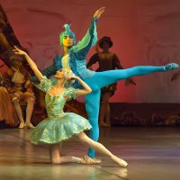 Сцена из балета "Спящая Красавица" :: Владимир Максимов