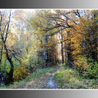 осень :: Евгений Садовский