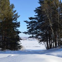 Зимние прогулки :: Вера Андреева