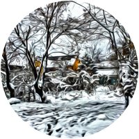 Мартовский снег II :: Alexei Kopeliovich