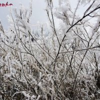 Зима :: Глеб Ранинин