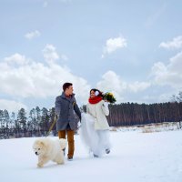 Зимняя свадьба :: Екатерина Седых