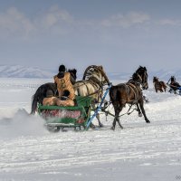 Новоселово - 2015 :: Sergey Yatmasov