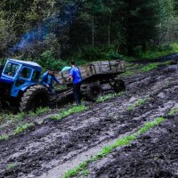 трактор засадили :: Elena Kornienko