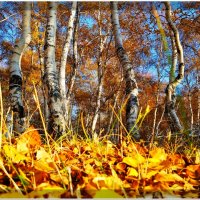 Осень :: Есен 