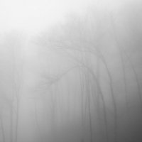 Туман в горах :: Алексей Окунеев