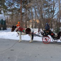 Новосибирский зоопарк :: Иван Янковский