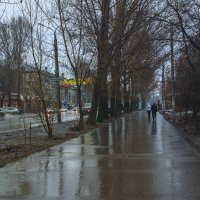 Дождливый день-1 :: Валерий Молоток