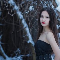 Зимняя краса :: Аида Абрегова
