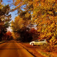 Осенняя дорога.. :: евгения 