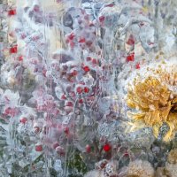 Цветы во льду :: Табаско Перчик