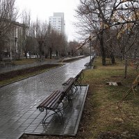 Весенний дождь :: Alexander Varykhanov