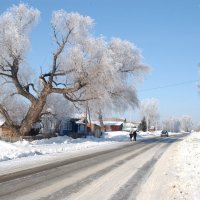 зима в деревне :: владимир 