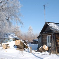 борьба с тополями :: владимир 