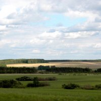 Березовые колки. :: Наталья Лунева 