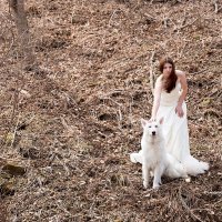 Олеся и белый волк Север :: галина кинева