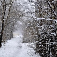 Последний снег апрельский :: Наталья Сергеевна