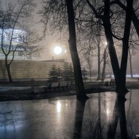 Туманный свет :: Valeriy Piterskiy