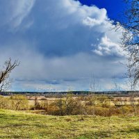 Два  дерева. :: Валера39 Василевский.