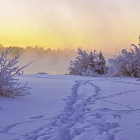 Утро, 11 часов :: Василий Хорошев