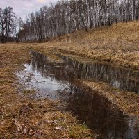 Пейзаж :: Владимир 