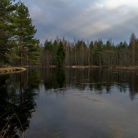 Весна на реке Песь :: Сергей Быстров