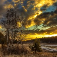 В первых лучах :: Анатолий Иргл