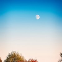 Луна и осень :: Андрий Майковский