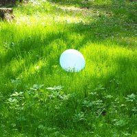 Воздушный шарик в солнечный денёк :: Svetlana Svet