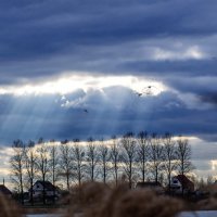 Сгущались тучи над водою... :: Анатолий Клепешнёв