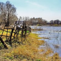 Уходит талая вода... :: Лесо-Вед (Баранов)