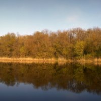 Панорама отражения :: Станислав Любимов