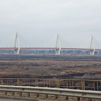 Через реку Оку по новому вантовому мосту. :: Андрей Синицын