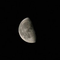 moon :: Настя Смирнова