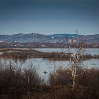 Майский вечер на озере Мылки. :: Сергей Щелкунов